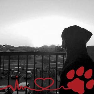 Meet your Posher, Jesse